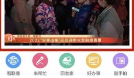 合山一哥爆料视频播放大全,揭秘幕后真相与精彩瞬间