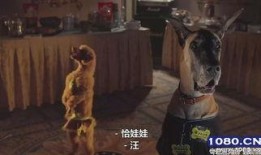 比佛利拜金狗在线观看,奢华生活背后的财富追逐