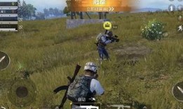 和平精英最新的衣服爆料,时尚潮流与战术风格的完美融合