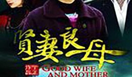 贤妻良母在线观看,在线观看，感受传统家庭价值观的魅力