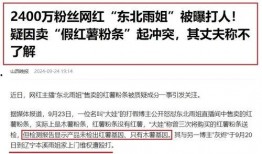 东北雨姐直播爆料视频播放,视频播放背后的惊人真相