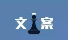 感动视频爆料文案短句怎么写,揭秘视频爆料文案背后的温情故事