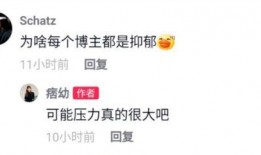 痞幼视频爆料假抑郁,假抑郁背后的真相与反思