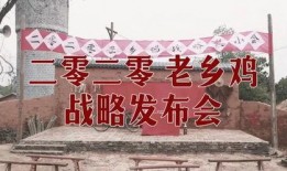老乡鸡真实爆料视频,真实爆料视频曝光惊人内幕