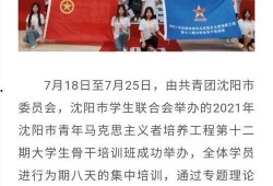 沈阳精彩爆料新闻报道最新,重大事件背后惊人真相曝光！