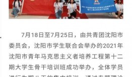 沈阳精彩爆料新闻报道最新,重大事件背后惊人真相曝光！