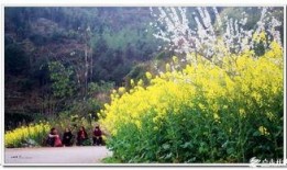 风景最新爆料图片,最新风景图片惊艳亮相