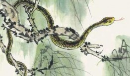 蛇与花2在线观看,在线揭秘神秘花蛇传说