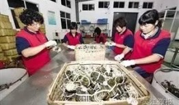 吴江七都新闻爆料,吴江七都最新动态揭秘，热点事件追踪报道