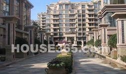 南京中海爆料最新消息,揭秘神秘项目进展与影响