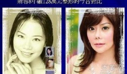 刘美丽爆料整容视频大全,揭秘明星美丽背后的秘密