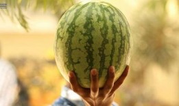 娱乐圈的瓜可以吃,揭秘明星幕后故事