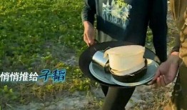 娱乐圈女艺人爆料石锤,揭秘娱乐圈背后的惊人真相