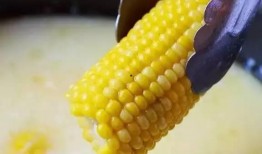 蛋花玉米爆料视频,视频爆料背后的惊人真相