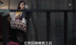 彩姐大爆料视频,揭秘幕后真相，带你走进娱乐圈风云