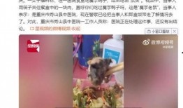 魔芋鸭的爆料视频在线观看,娱乐圈幕后真相大曝光