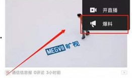 头条爆料视频怎样拍的,如何捕捉热点瞬间