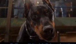 比佛利拜金狗在线观看,奢华生活背后的财富追逐