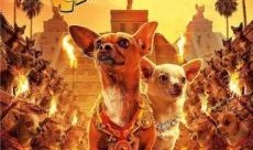 比佛利拜金狗在线观看,奢华生活背后的财富追逐