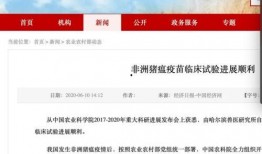 猪瘟最新爆料消息新闻,揭秘病毒传播途径与防控措施