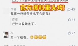 重装上镇新模块爆料最新,揭秘重装后的神秘力量与突破性变革