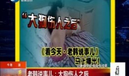 沈阳精彩爆料新闻报道最新,重大事件背后惊人真相曝光！