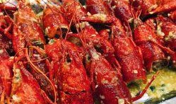 爆料杨氏小龙虾视频,揭秘网红美食背后的制作奥秘